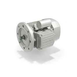 Single-phase AC motors